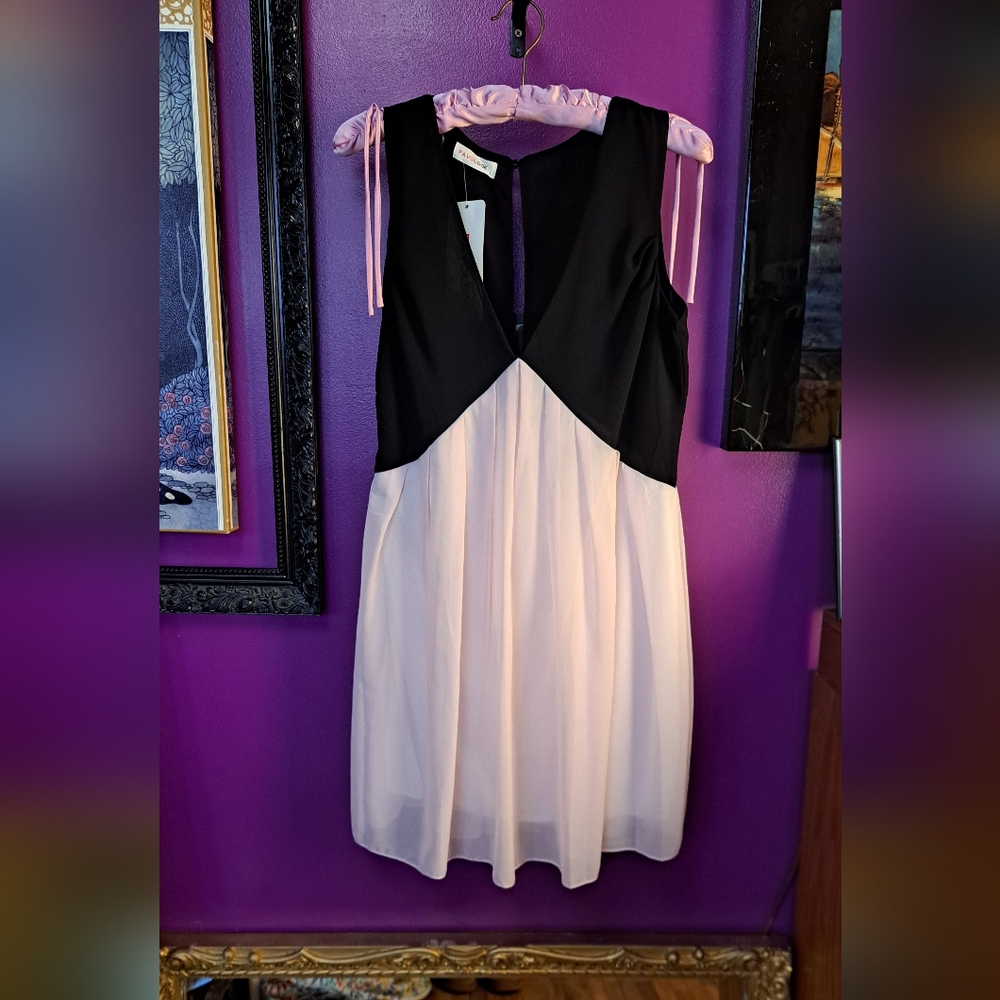 Chic Black and Pink Sleeveless Dress.  Sheer Overlay. Pleated V Seam. NWT. Large